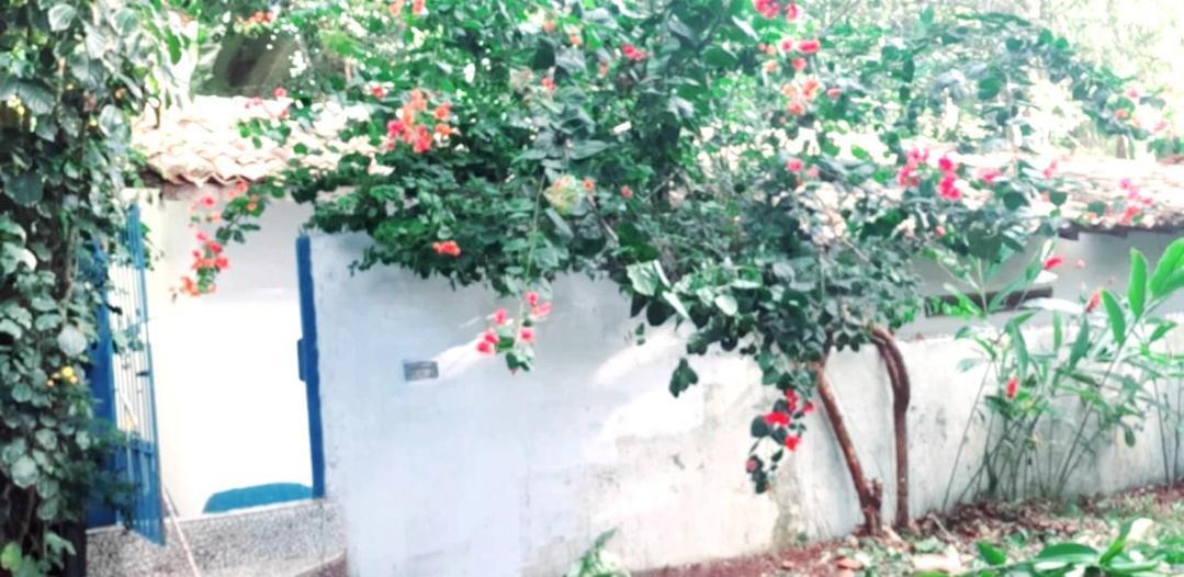 Arraial Casinha Centro Βίλα Πόρτο Σεγκούρο Εξωτερικό φωτογραφία